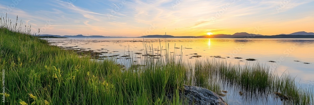  The sun sets over a body of water, with tall grass in the foreground and mountains in the distance