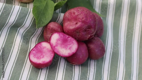 organic variety potatoes close up