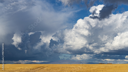 Dramatic storm clouds over a wide expanse of golden farmland