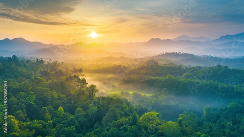 Panoramic view of a lush green forest from above, capturing the beauty of a healthy ecosystem and the vibrant sunrise over the mountains.