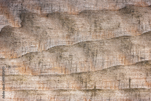 wooden board texture close up as background