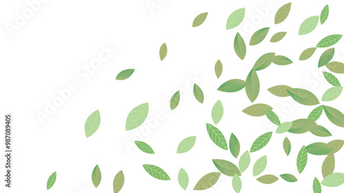 Leaves Vector White Background Illustration. Fresh Greens Template. Grassy Leaf Brochure, Green flying leaves wave,nature Day
