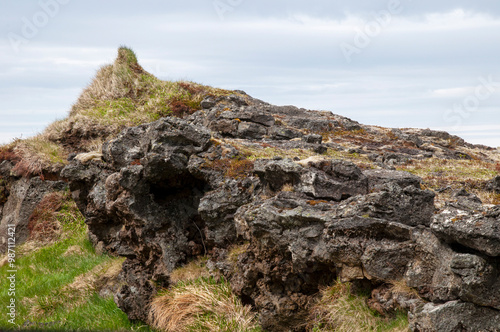 Snaefellsnes peninsula Iceland, vegetation growing on basalt rocks photo