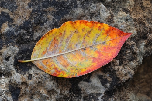 an autumn leaf in Isla Cristina, Huelva province, Spain , ai photo