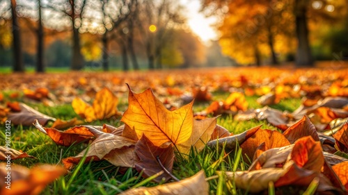 a bridge with leaves on it and a railing in the woods
