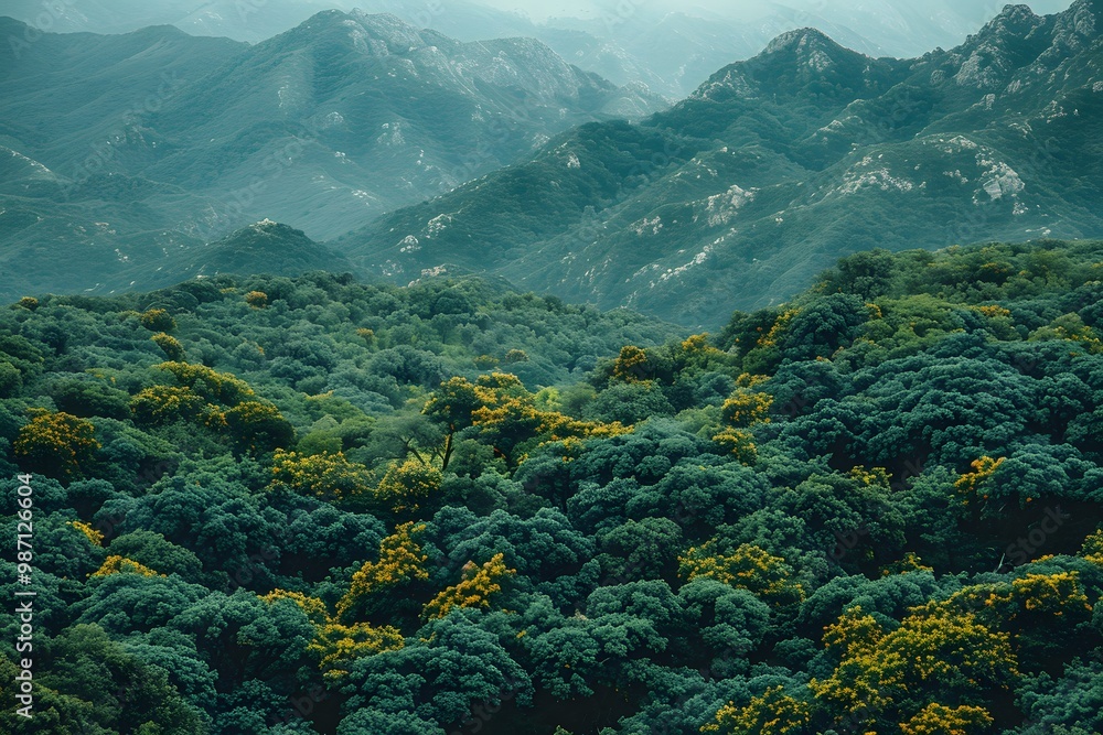 Scenic View of Lush Mountain Landscape with Forest Canopy and Blooming Trees Scenic View of Lush Mountain Landscape with Forest Canopy and Blooming Trees
