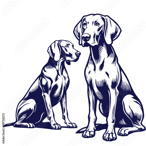 A Collection of Weimaraner Silhouettes, Weimaraner dog Standing silhouette Design, Dog Clipart vector illustration in black and white
Vintage illustration of a pointer dog breed, retro style monohrome