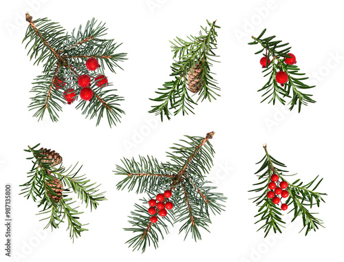 A set of coniferous branches decorated with artificial red berries and cones. Blue spruce, Christmas tree, yew branches. Design element for creating festive Christmas arrangements, frames, cards.