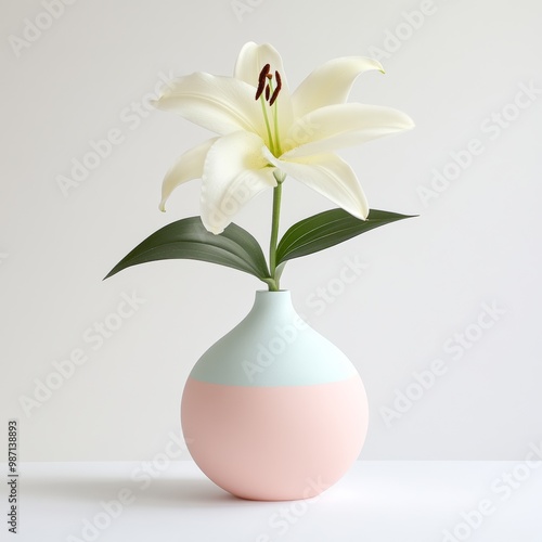 A modern arrangement featuring a single white lily in a pastel-colored vase, set against a clean white surface