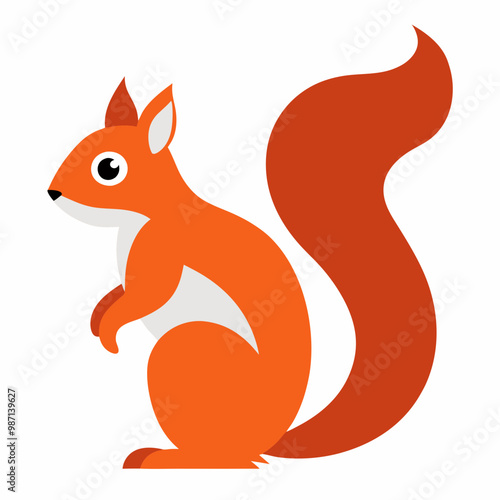 Squirrel creative vector design on a white background