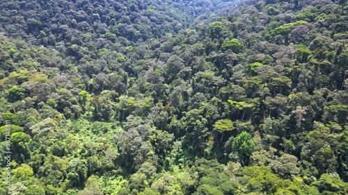 Aerial footage of a lush green forests of Mgahinga Gorilla National Park, Uganda