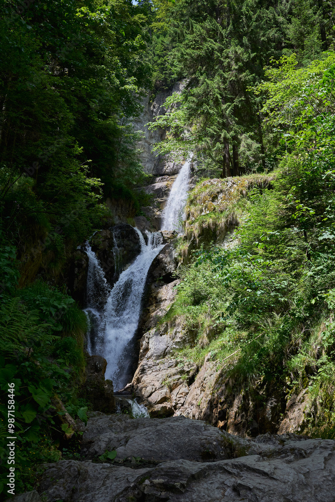 Photography of trees, Maria (Mary) river and Marii waterfall in the Retezat Mountains in Uricani, Hunedoara Romania Photography of trees, Maria (Mary) river and Marii waterfall in the Retezat Mountains in Uricani, Hunedoara Romania