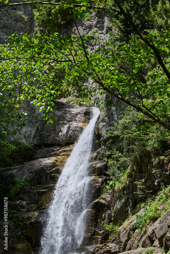 Photography of trees, Maria (Mary) river and Marii waterfall in the Retezat Mountains in Uricani, Hunedoara Romania photo