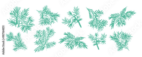 Set with vector green pine branches, hand drawn pencil. Charcoal illustration. Christmas ornament for wrapping paper and decor.