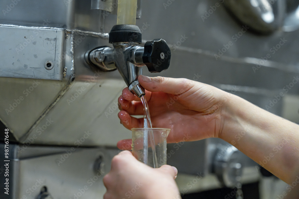 Création après la récolte des vendanges