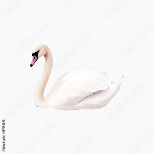 Elegant swan illustration on white