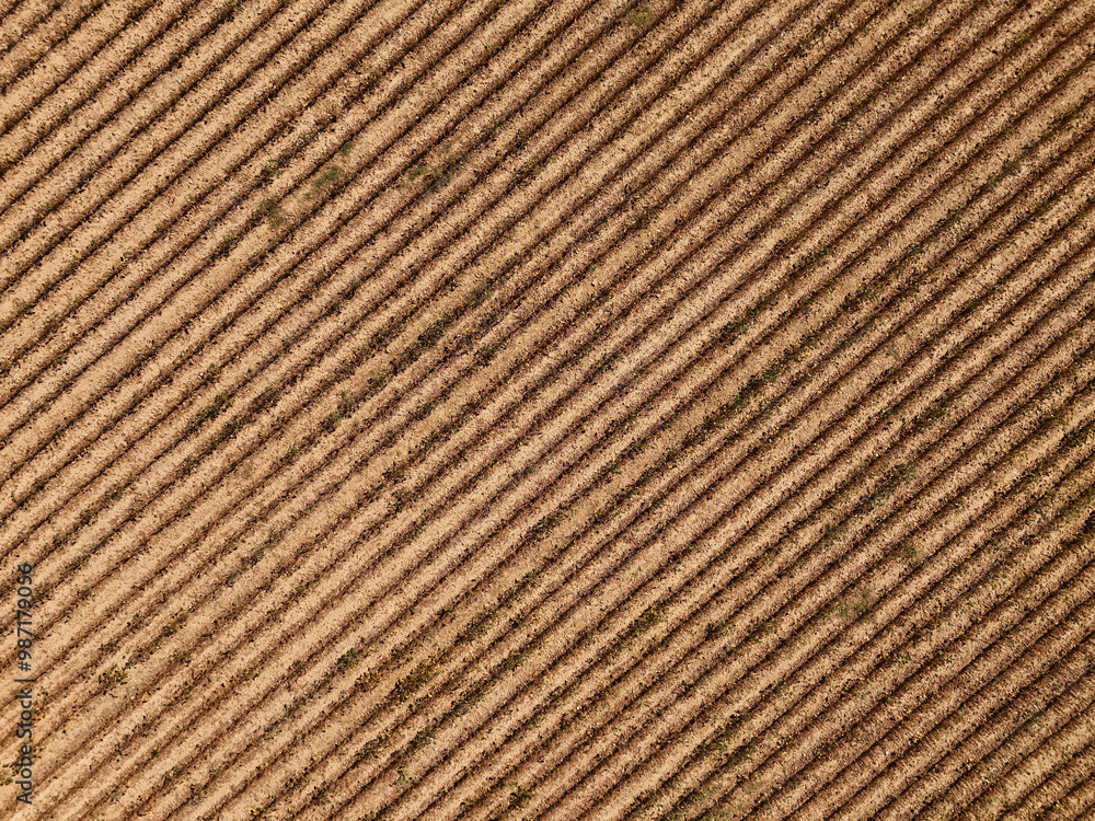 Lignes et terre Lignes et terre