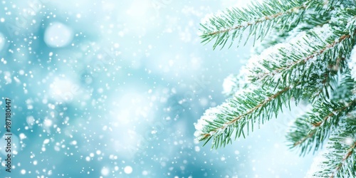 Pine branches adorned with fresh snow shimmer softly against a tranquil winter backdrop filled with falling snowflakes