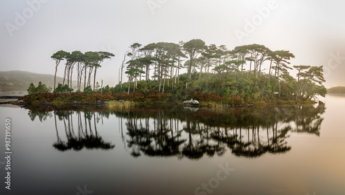 Pine Island, Connemara