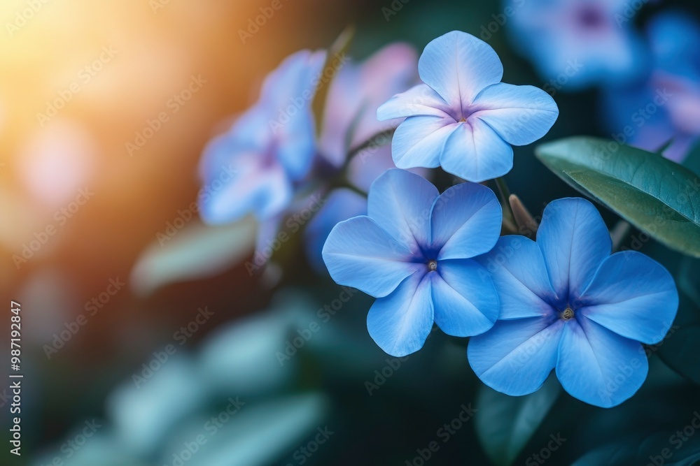 beautiful vinca flower in the garden , ai beautiful vinca flower in the garden , ai