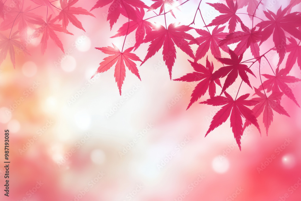 Vibrant red maple leaves in autumn light Vibrant red maple leaves in autumn light