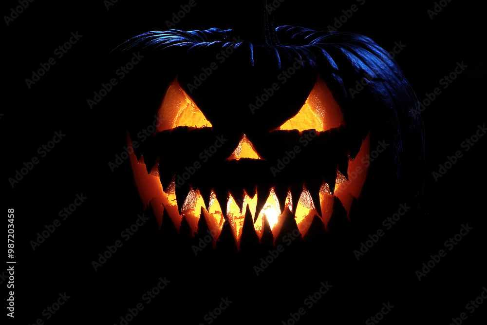 Naklejka premium Fanged jack-o'-lantern isolated in the dark.