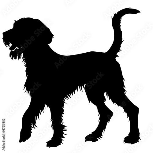 silhouette of a spinone italiano