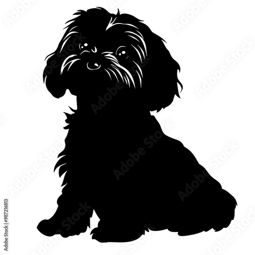 silhouette of a yorkipoo