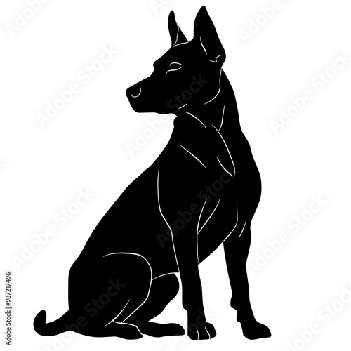 silhouette of a thai ridgeback