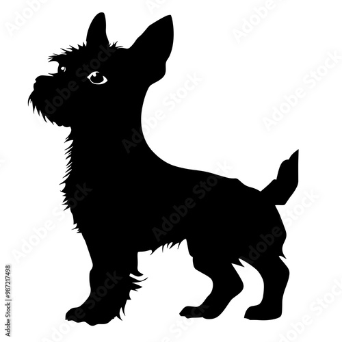 silhouette of a tenterfield terrier