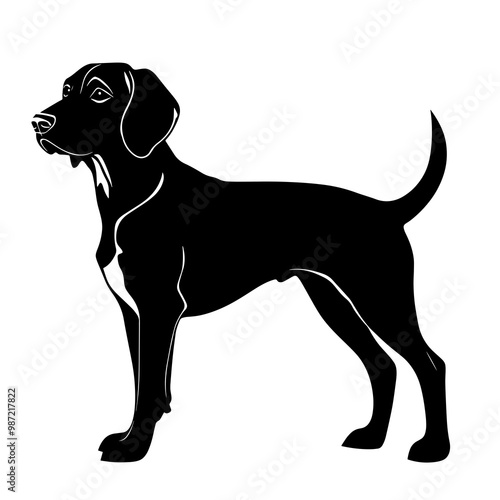 silhouette of a treeing walker