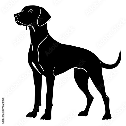 silhouette of a weimaraner