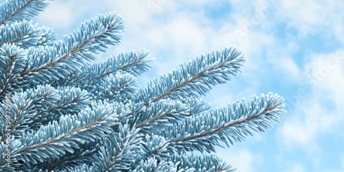 Snow-dusted pine branches extend toward a bright blue sky, reflecting the tranquility of a winter day