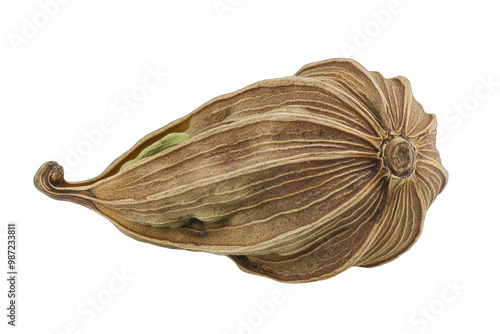 Wallpaper Mural Close-up view of an exotic seed pod, showcasing its unique texture and intricate shapes, perfect for botanical illustrations. Torontodigital.ca