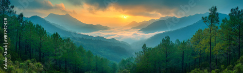 A serene landscape of rows of pine trees stretching over a misty valley and distant mountains, with soft morning light streaming down the area