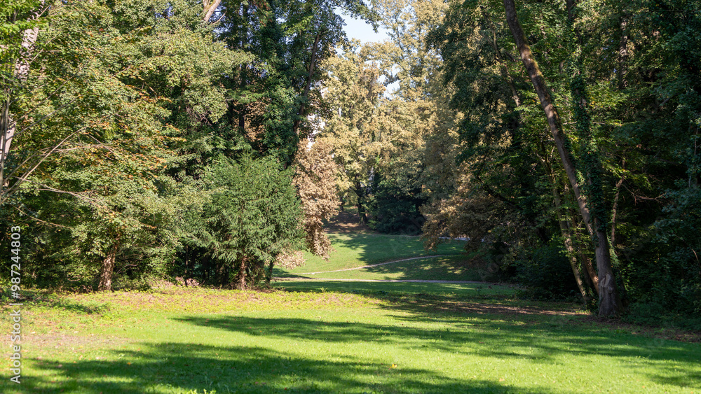 Obraz premium trees in the park