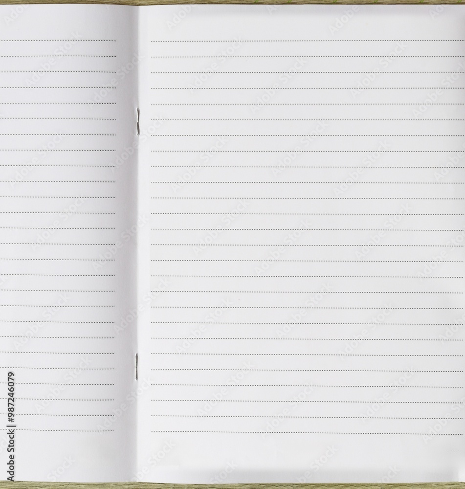 Blank notebook pages for writing and sketching ideas in your work. Blank notebook pages for writing and sketching ideas in your work.