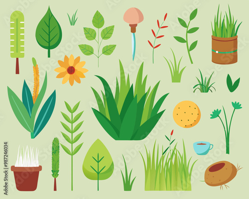 Set of decorative houseplants to decorate the interior of a house or apartment. Collection of various plants in pots