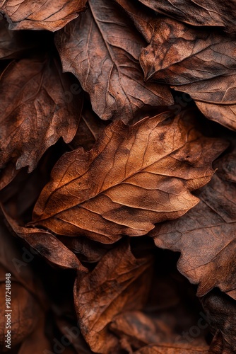  A large stack of brown leaves atop smaller stacks