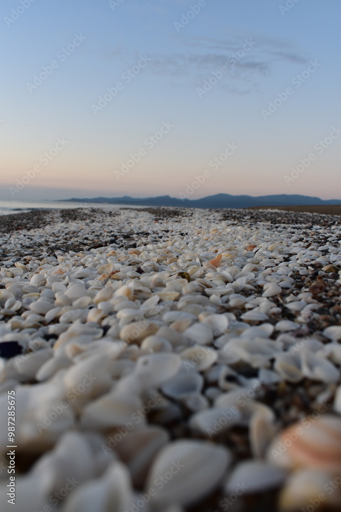 France Mediterranean in summer 2024 France Mediterranean in summer 2024