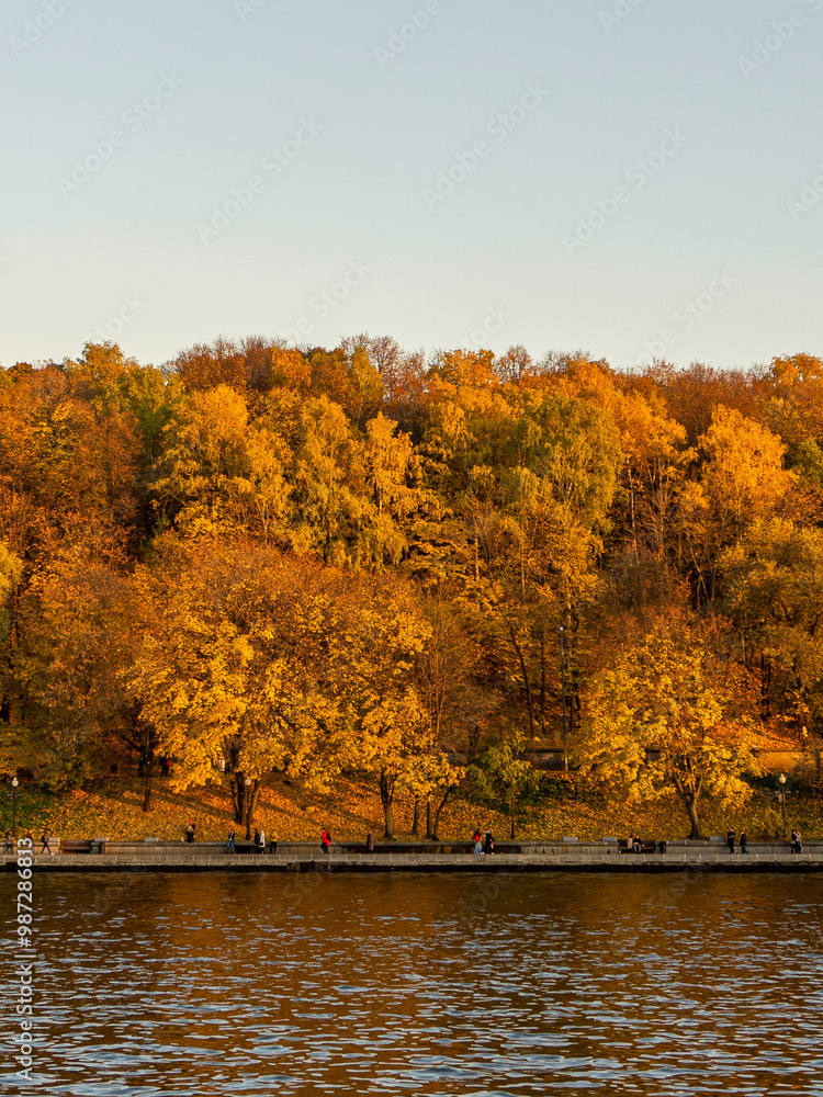 Autumn trees in the park next to a river Autumn trees in the park next to a river