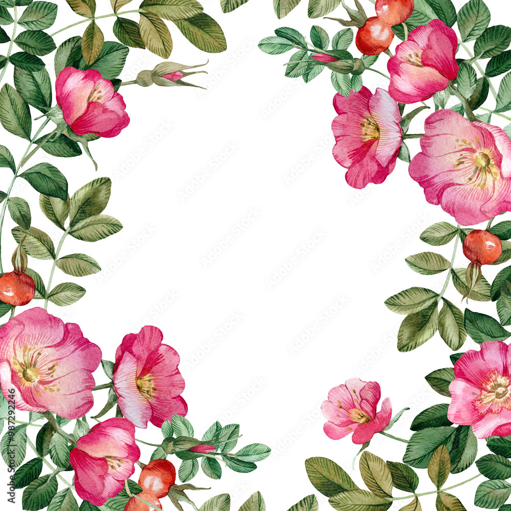 Rose hip frame isolated on white background. Hand drawn watercolor pink wild rose flowers, buds, berries and leaves. For tea, oil and cosmetics label, packaging design, wedding invitation Rose hip frame isolated on white background. Hand drawn watercolor pink wild rose flowers, buds, berries and leaves. For tea, oil and cosmetics label, packaging design, wedding invitation