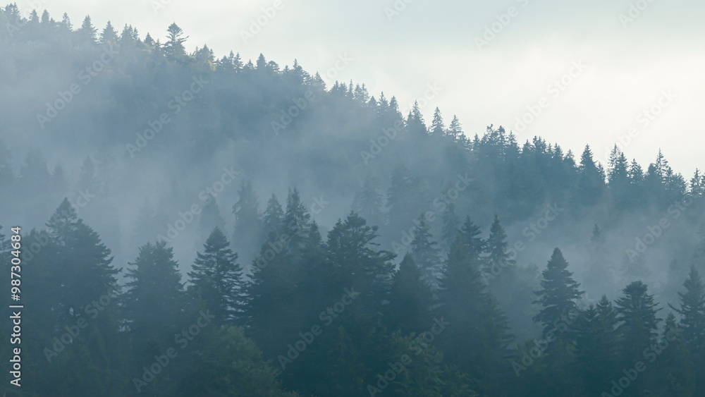 Naklejka premium Calm mountain landscape with fog in the trees