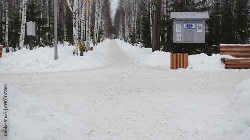 ALMATY, KAZAKHSTAN - AUGUST 25 2024: Empty snowy road between birch and fir trees alleys in winter park. Cultivated forest area with equipment for visitors in city. Frozen nature photo