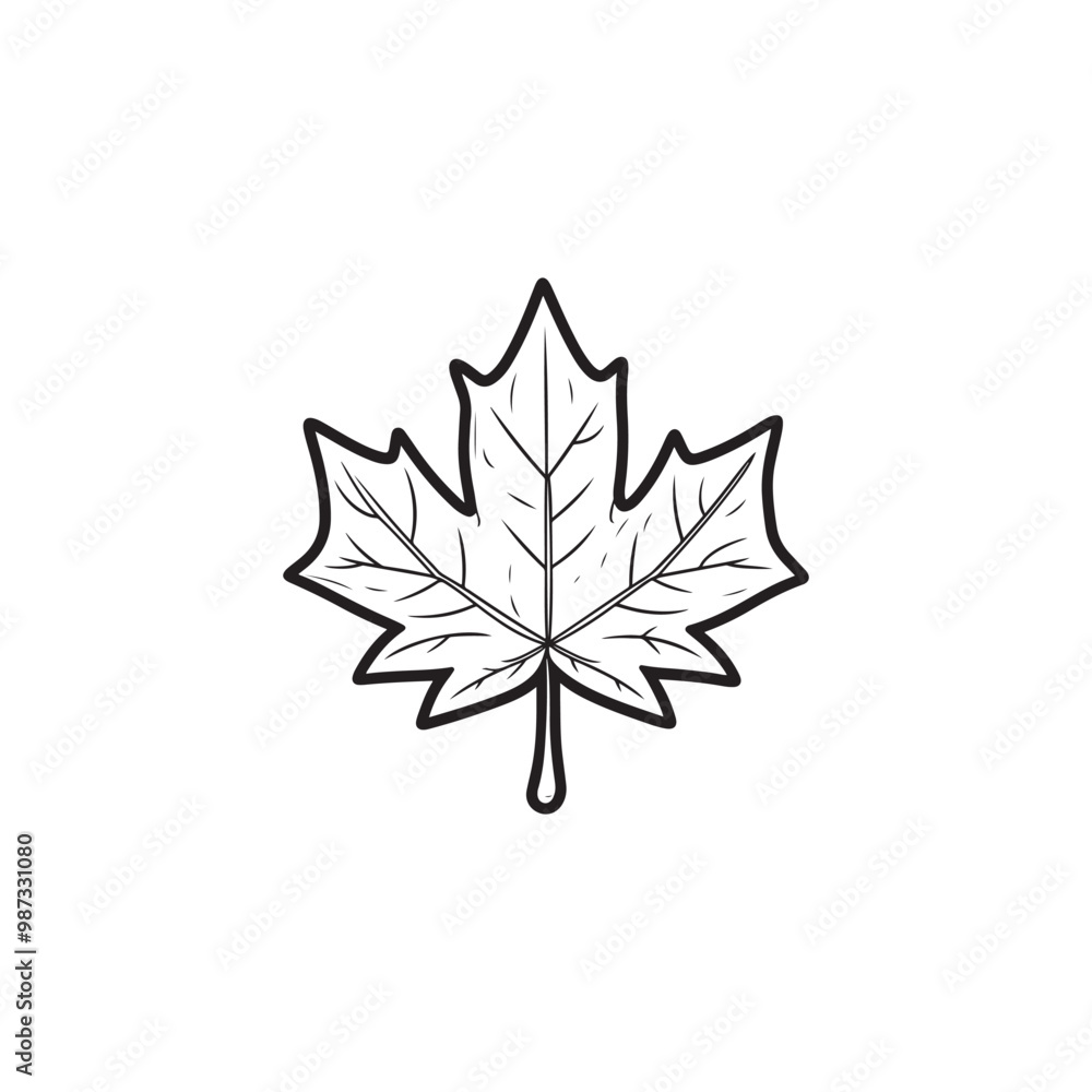 Obraz premium Thin Line Maple Leaf Design - Modern Autumn Symbol.