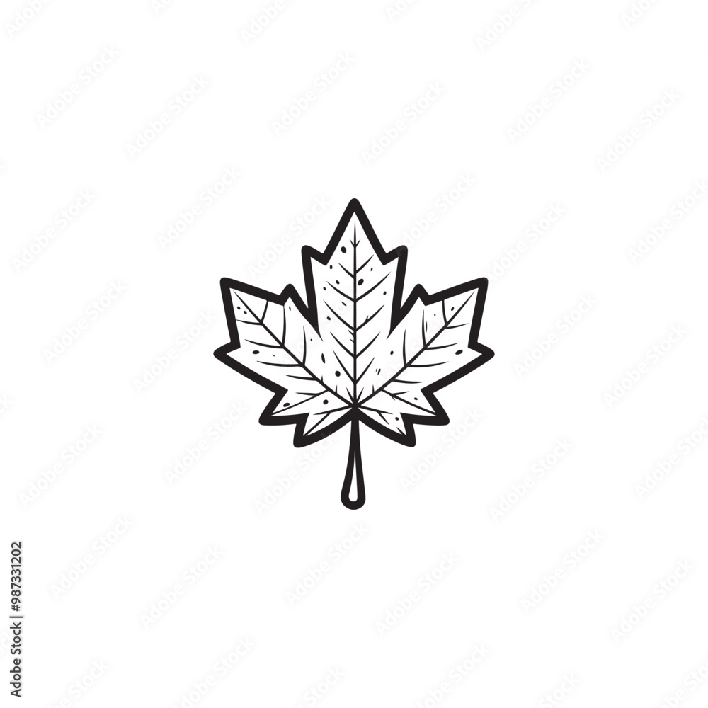 Simple Maple Leaf Thin Line Icon - Fall Season Symbol. Simple Maple Leaf Thin Line Icon - Fall Season Symbol.