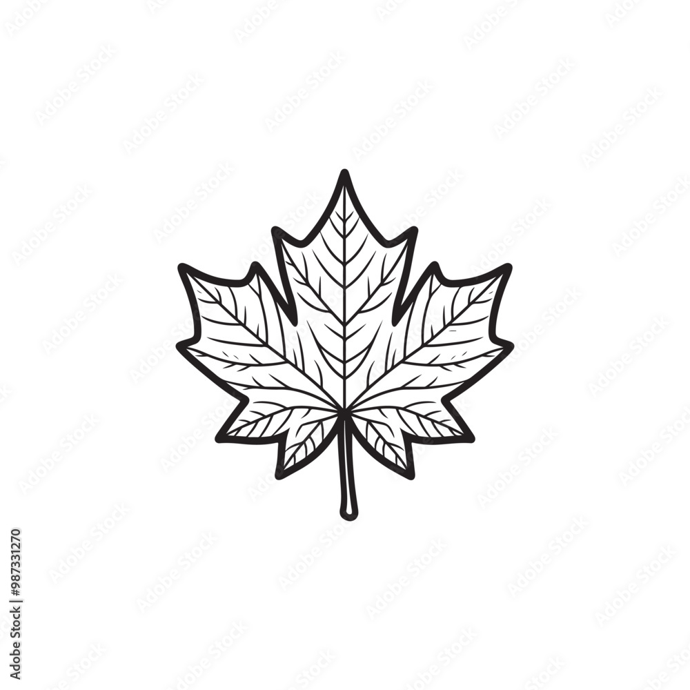 Modern Maple Leaf Icon - Thin Line Style for Autumn. Modern Maple Leaf Icon - Thin Line Style for Autumn.