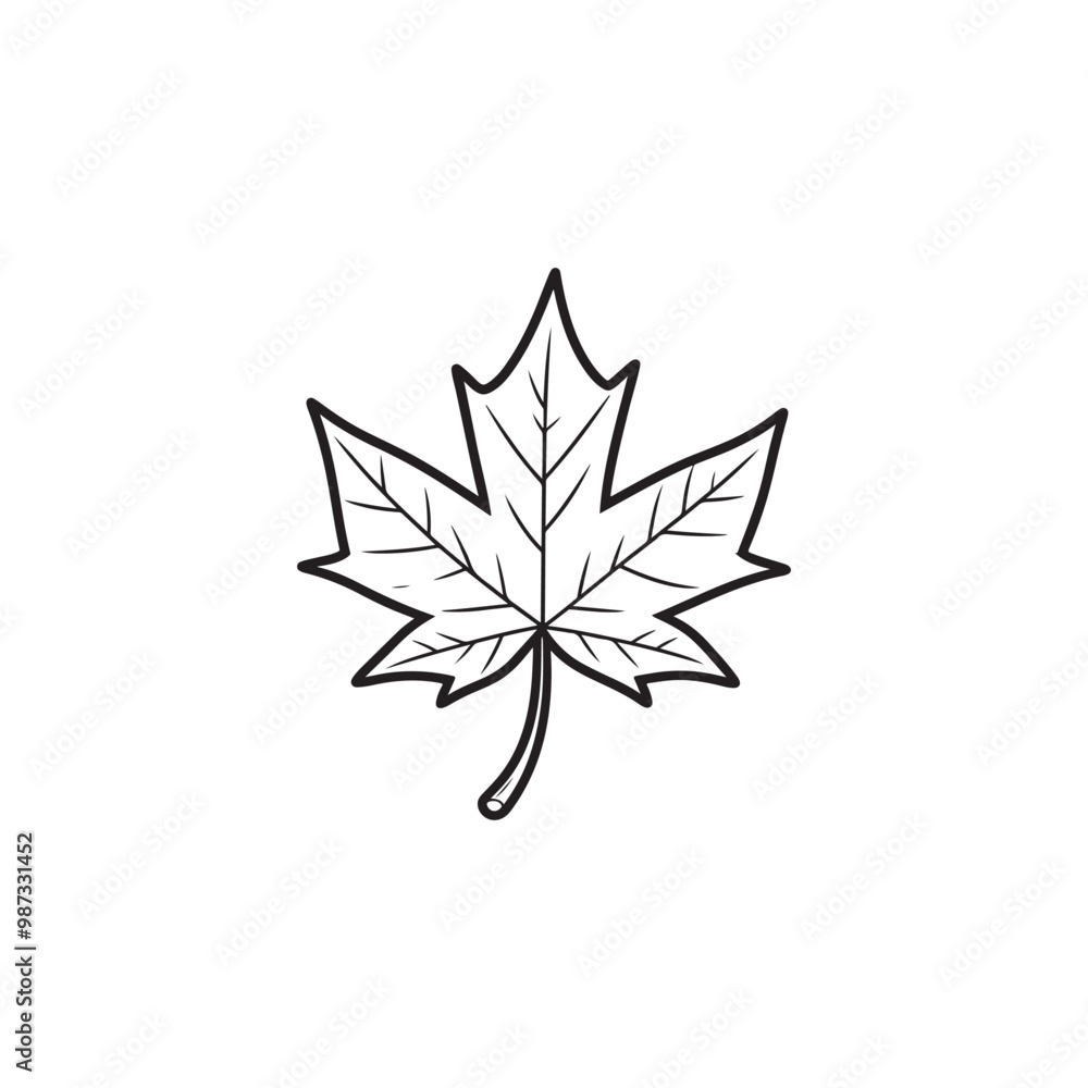 Maple Leaf Icon - Thin Line Fall Illustration. Maple Leaf Icon - Thin Line Fall Illustration.