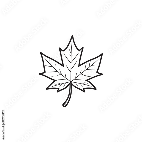 Maple Leaf Icon - Thin Line Fall Illustration.