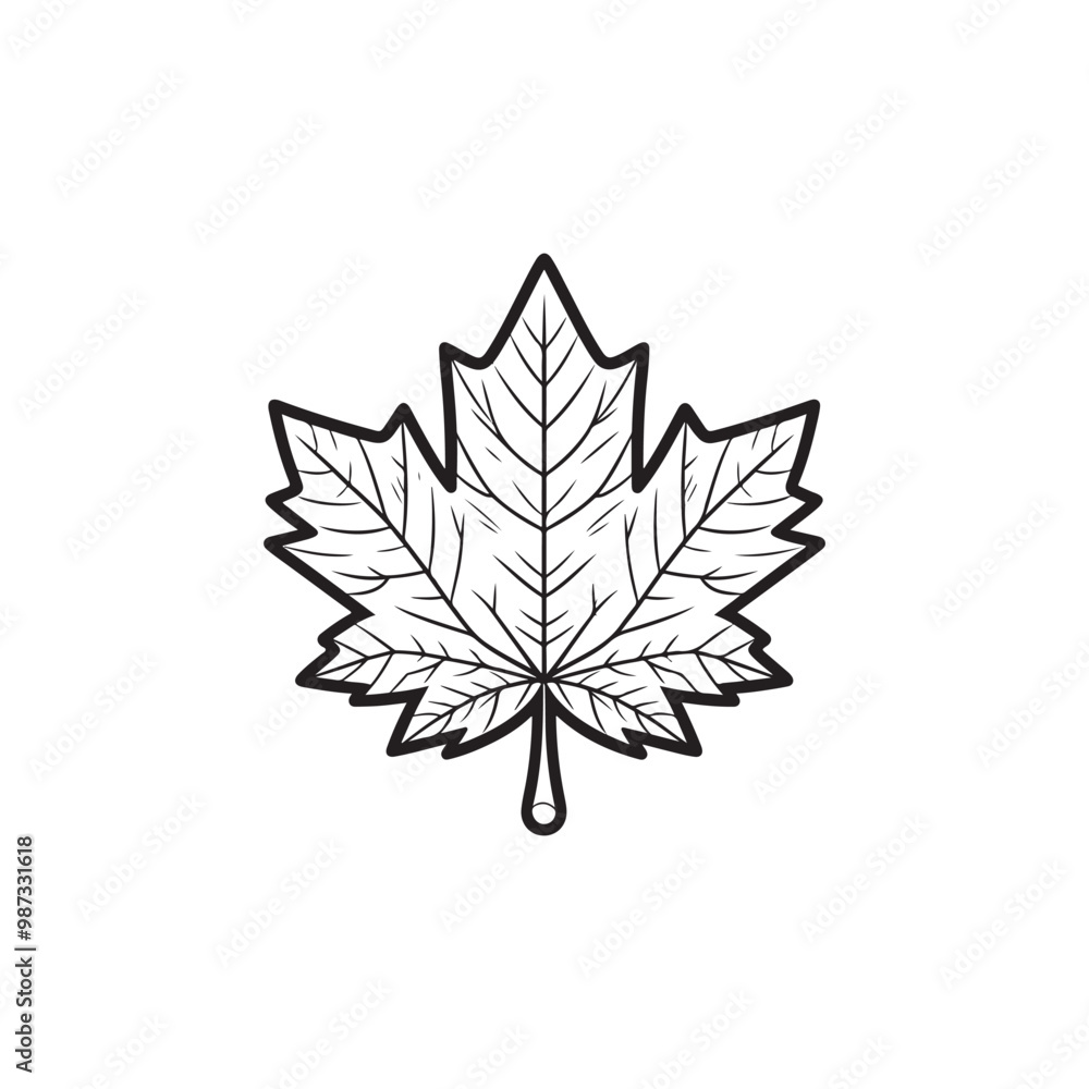 Thin Line Maple Leaf Icon - Modern Autumn Symbol Illustration. Thin Line Maple Leaf Icon - Modern Autumn Symbol Illustration.